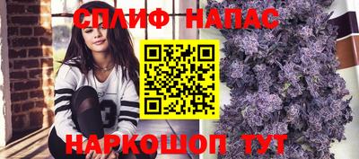 соль ск Моздок