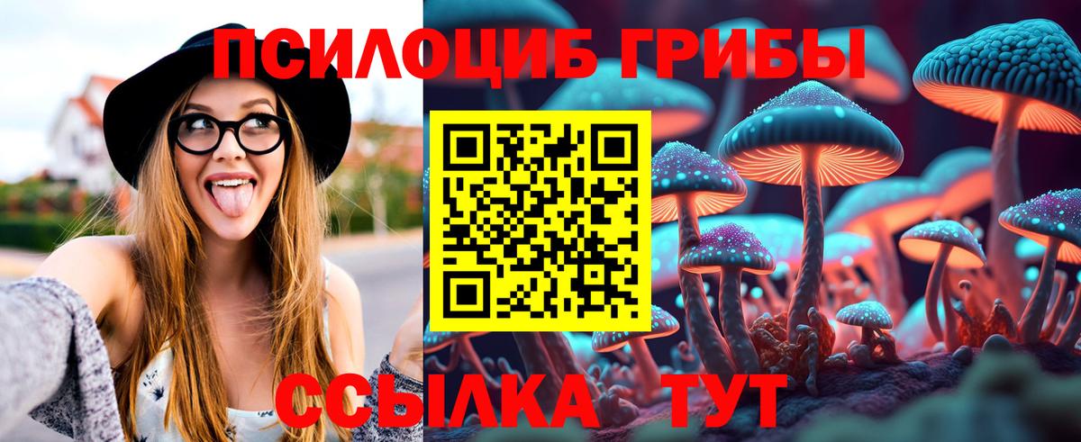 Галлюциногенные грибы мицелий  Вход с VPN  Псилоцибиновые грибы MAGIC MUSHROOMS  купить наркоту  Саяногорск 